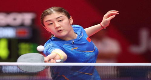 主而出现新 主而出现新