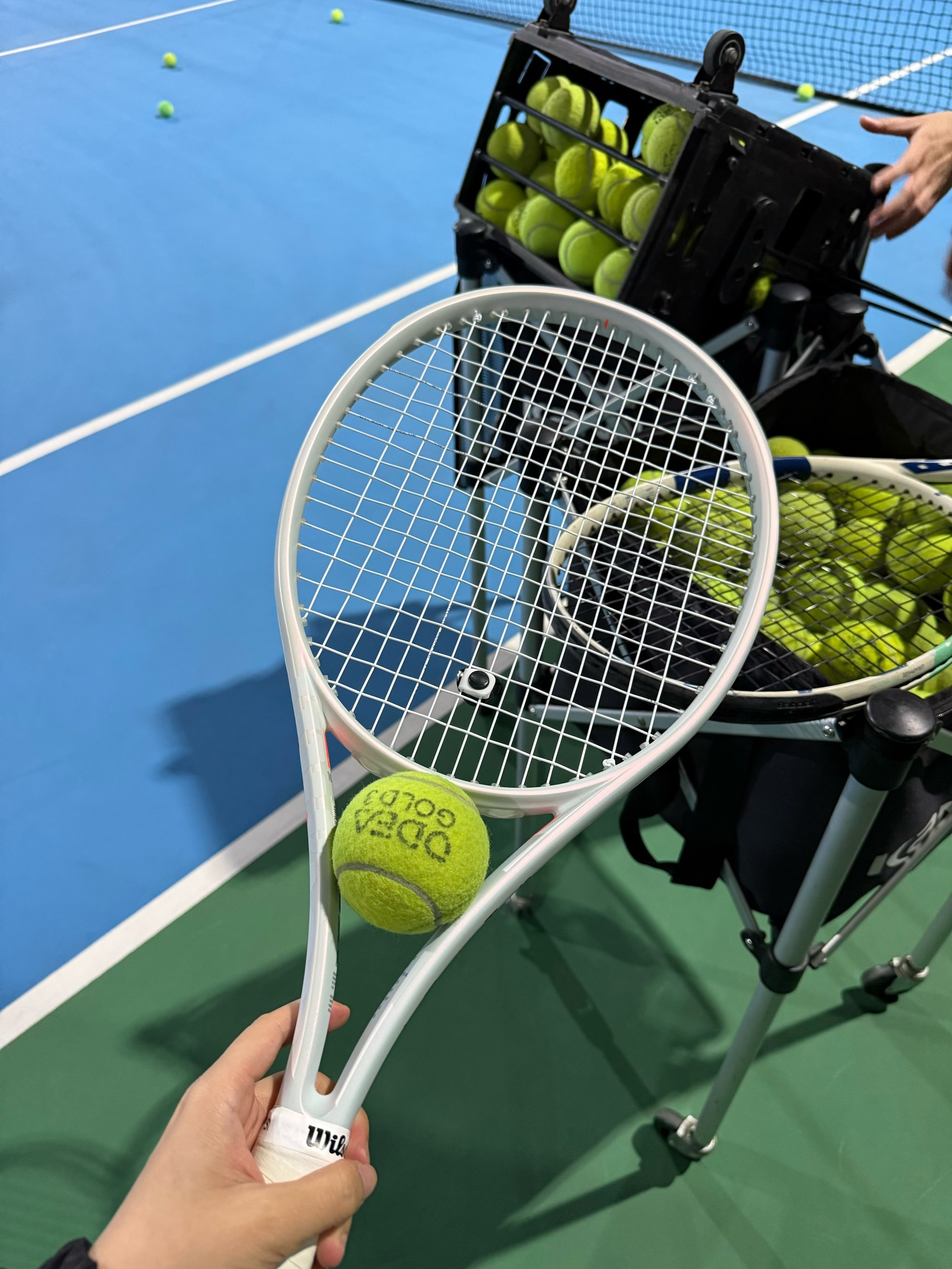 不仅展现了 不仅展现了